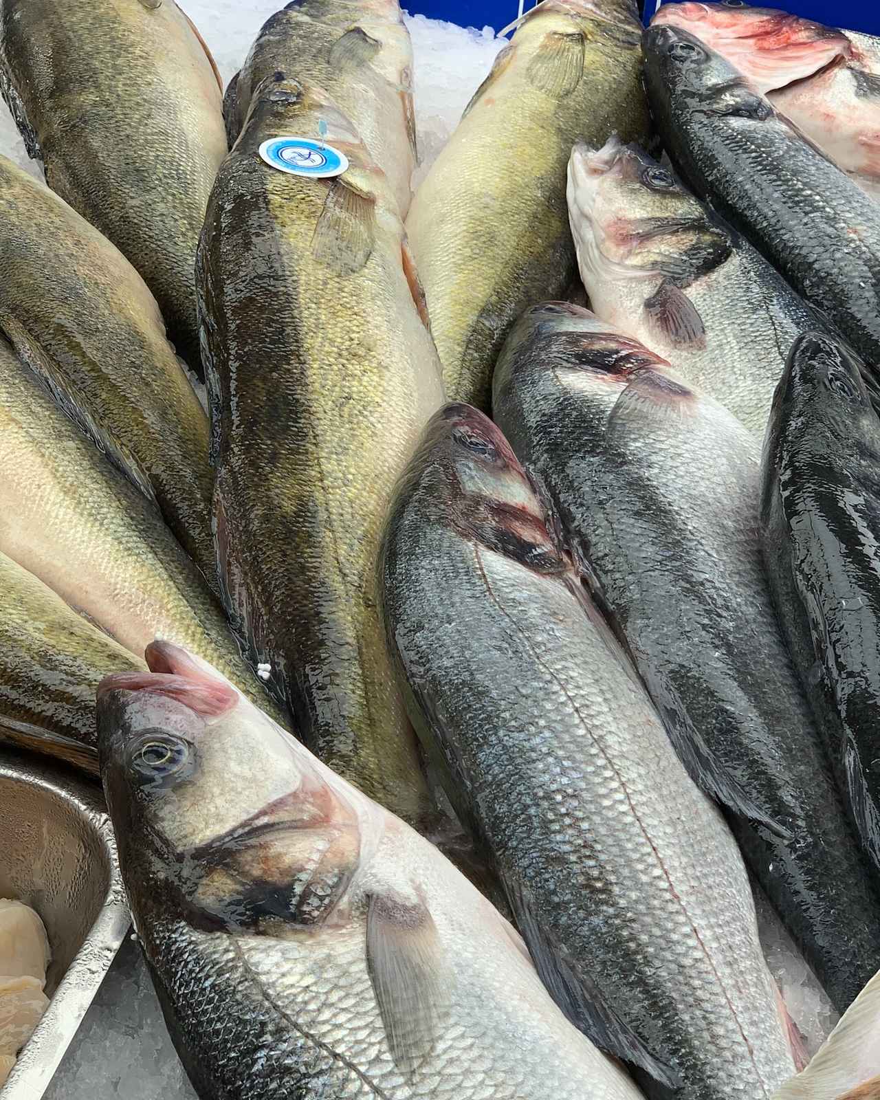 Poissonnerie à Pacy-sur-Eure