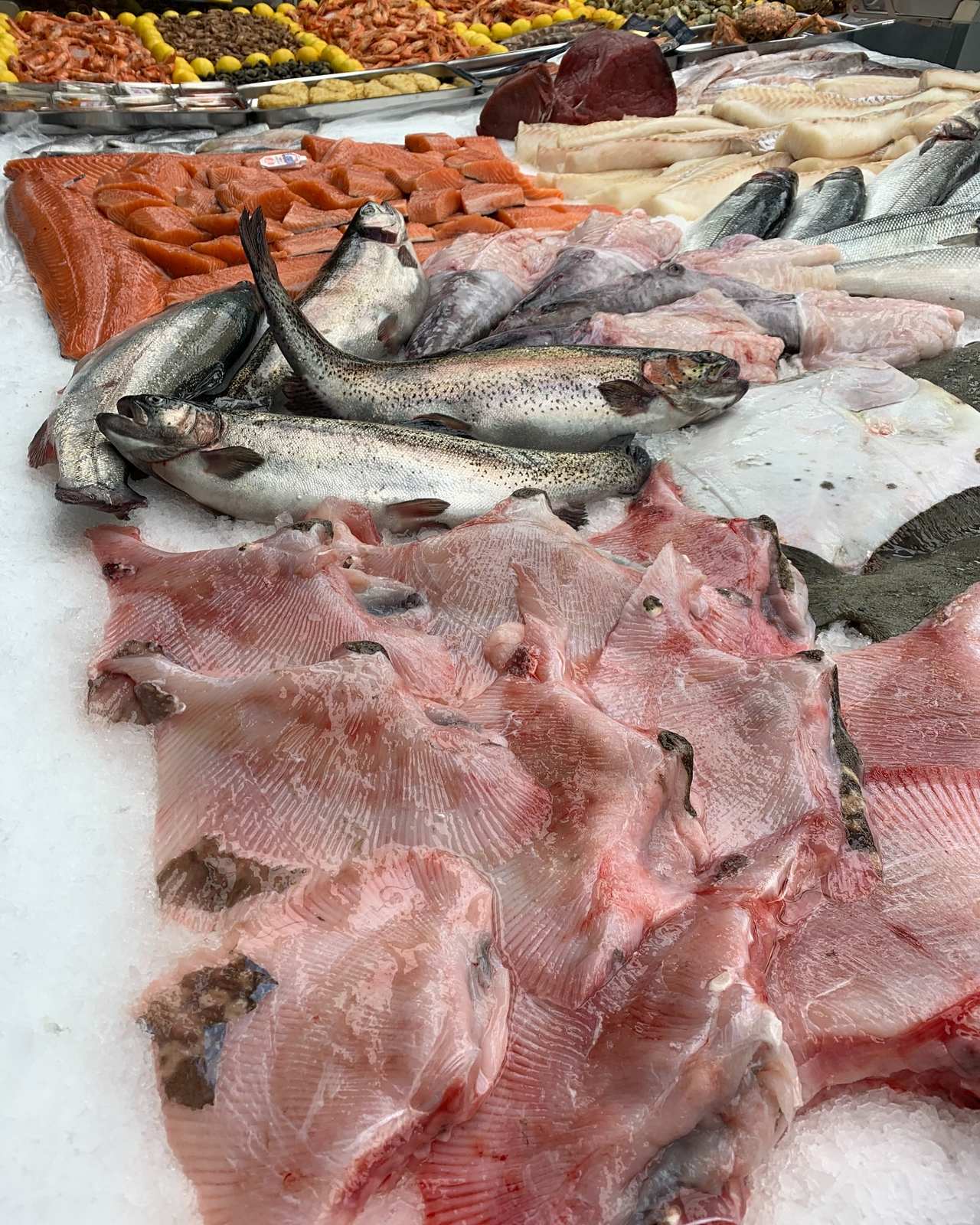 Poissonnerie à Pacy-sur-Eure