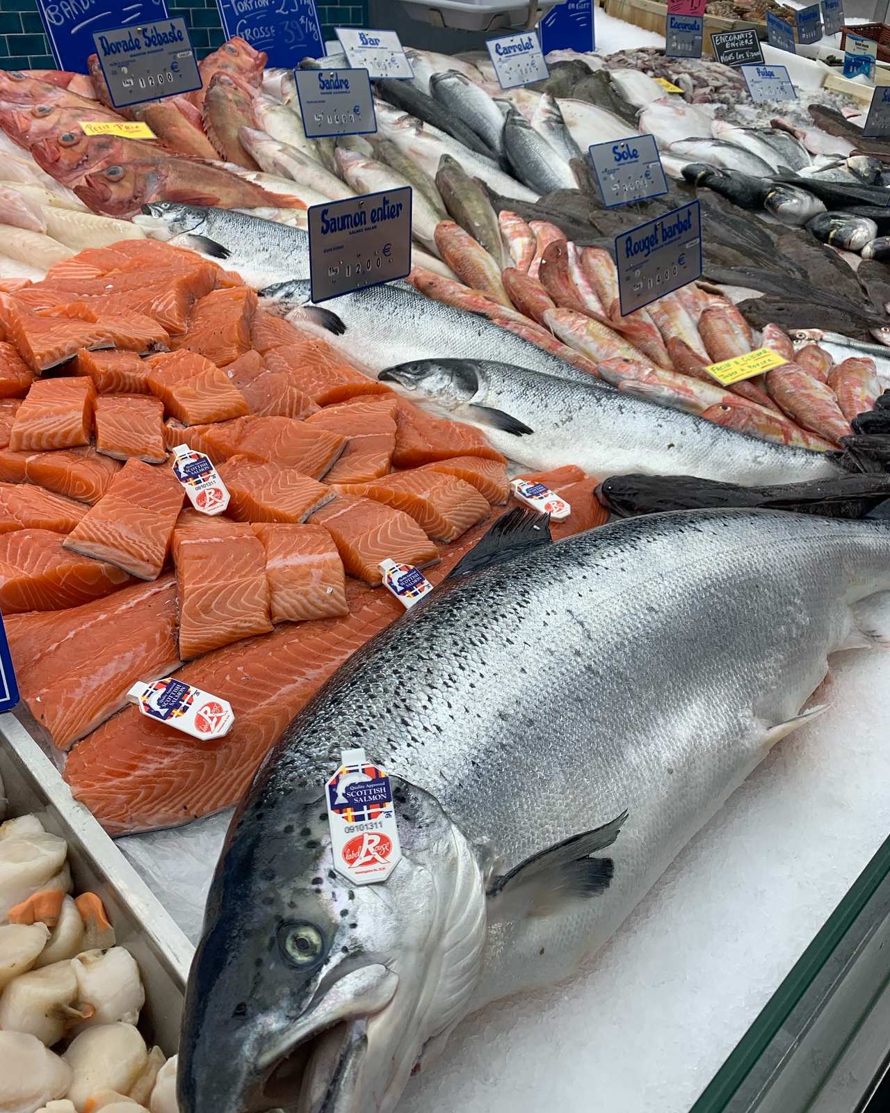 Poissonnerie à Pacy-sur-Eure