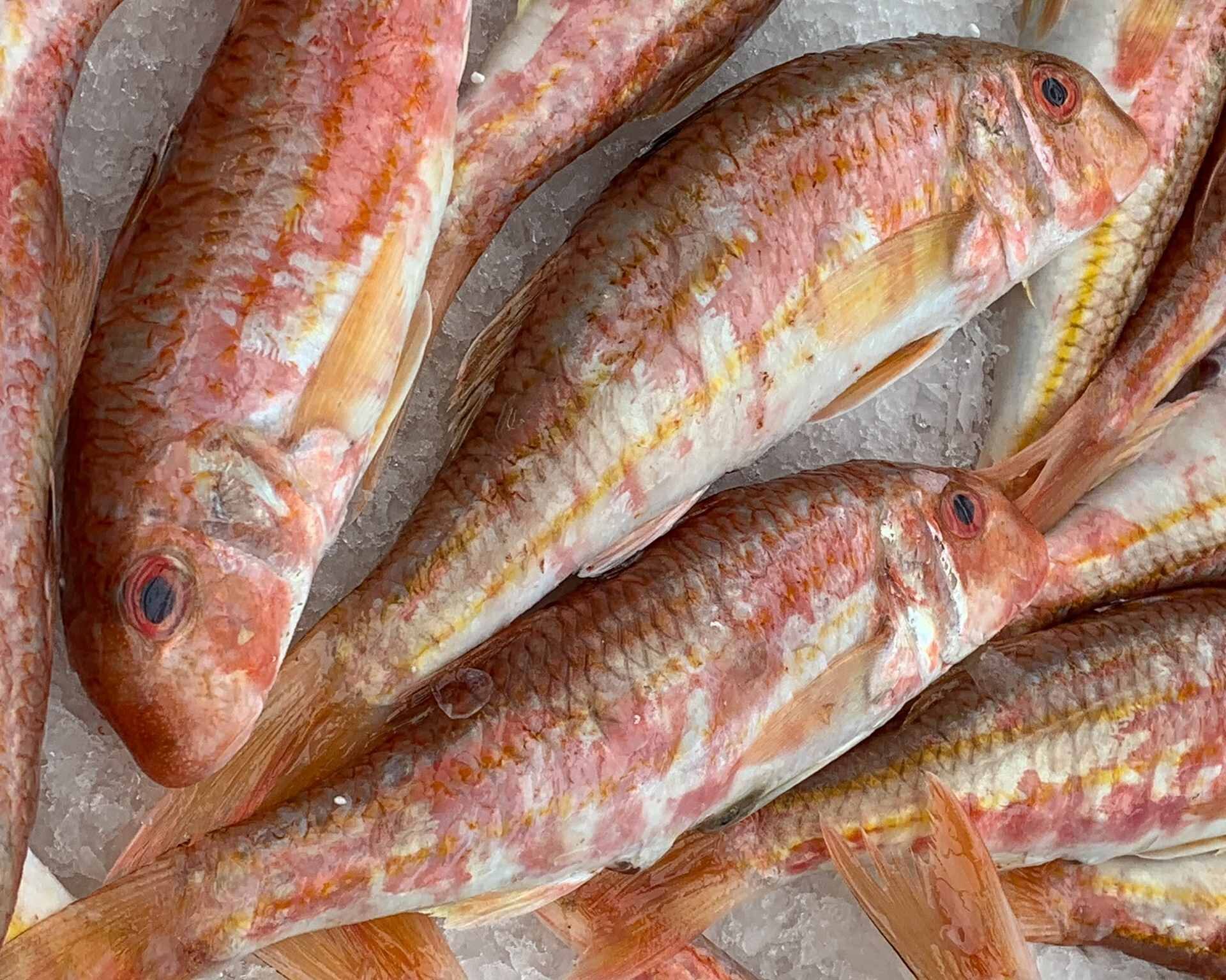 Poissonnerie à Pacy-sur-Eure