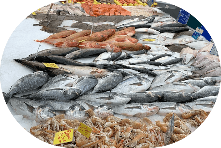 Poissonnerie & Traiteur à Pacy-sur-Eure